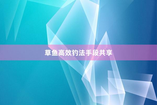 草鱼高效钓法手段共享