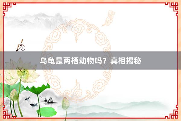 乌龟是两栖动物吗？真相揭秘